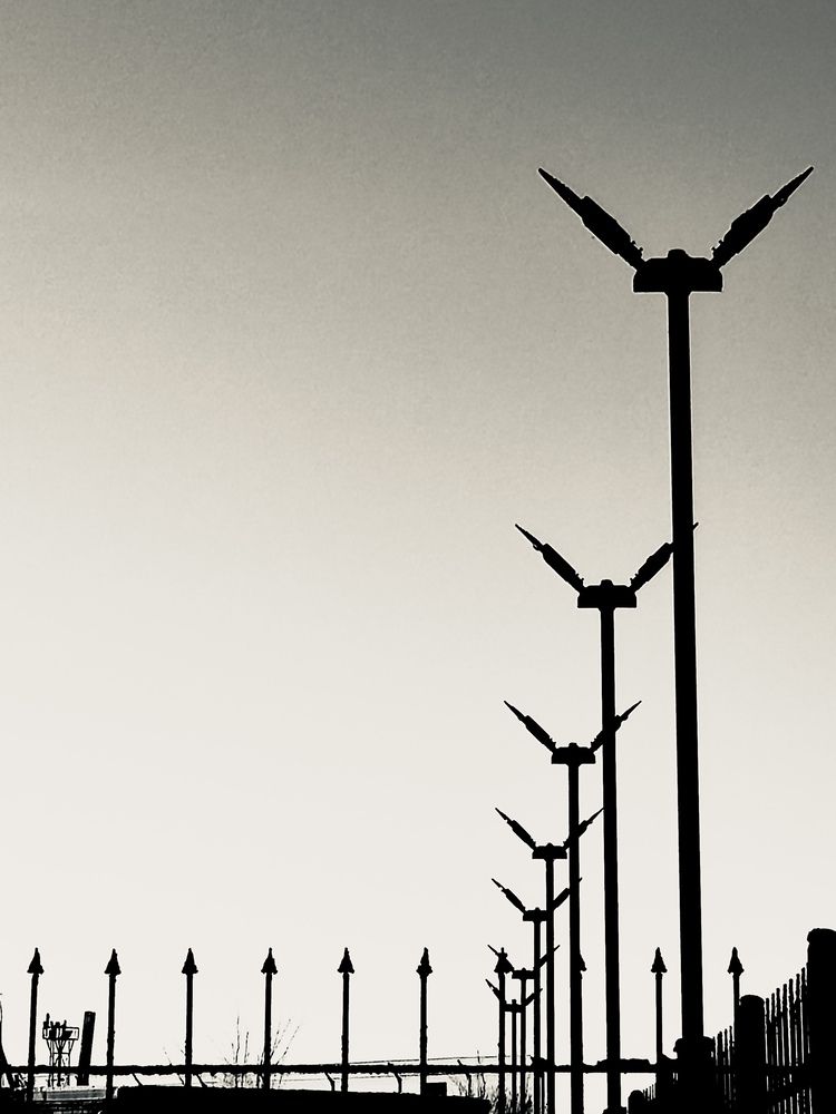 Photograph by Yan Chernushevich
