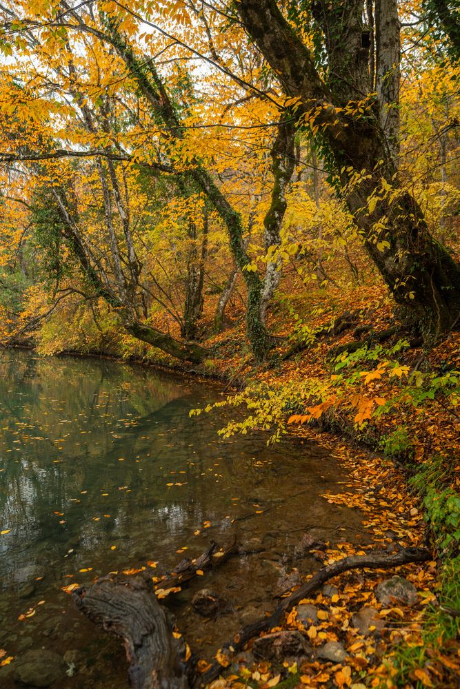 Photograph by Артём Гуцалюк
