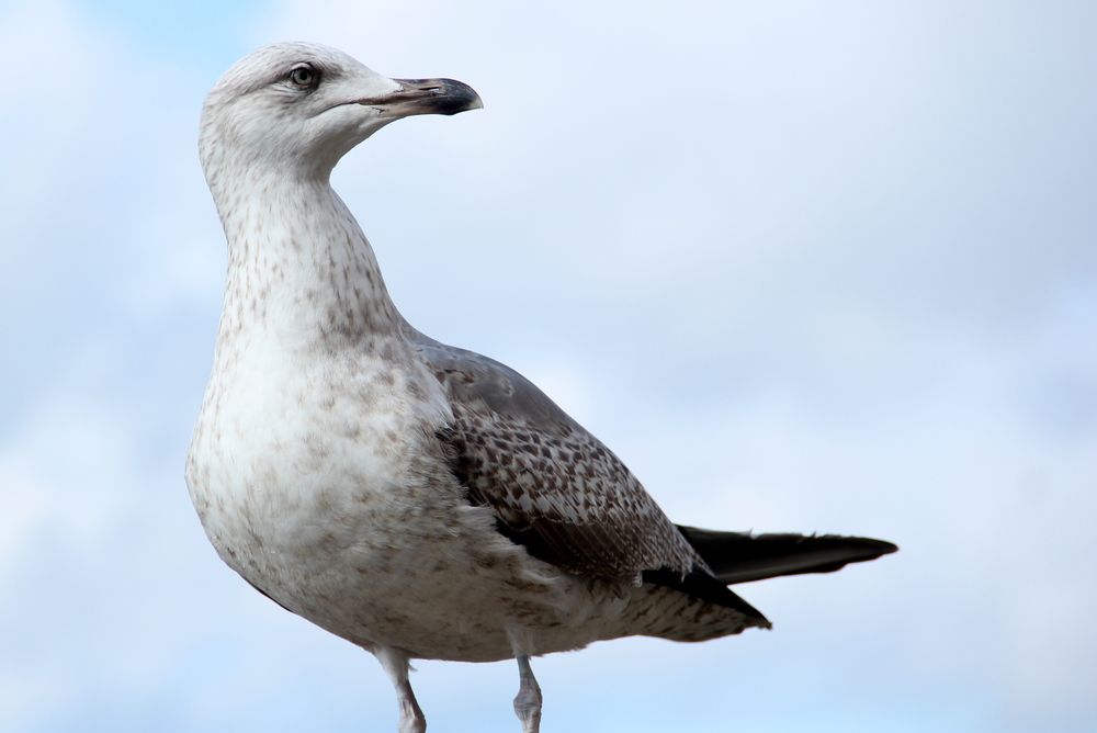 Photograph by Галина Кирикова