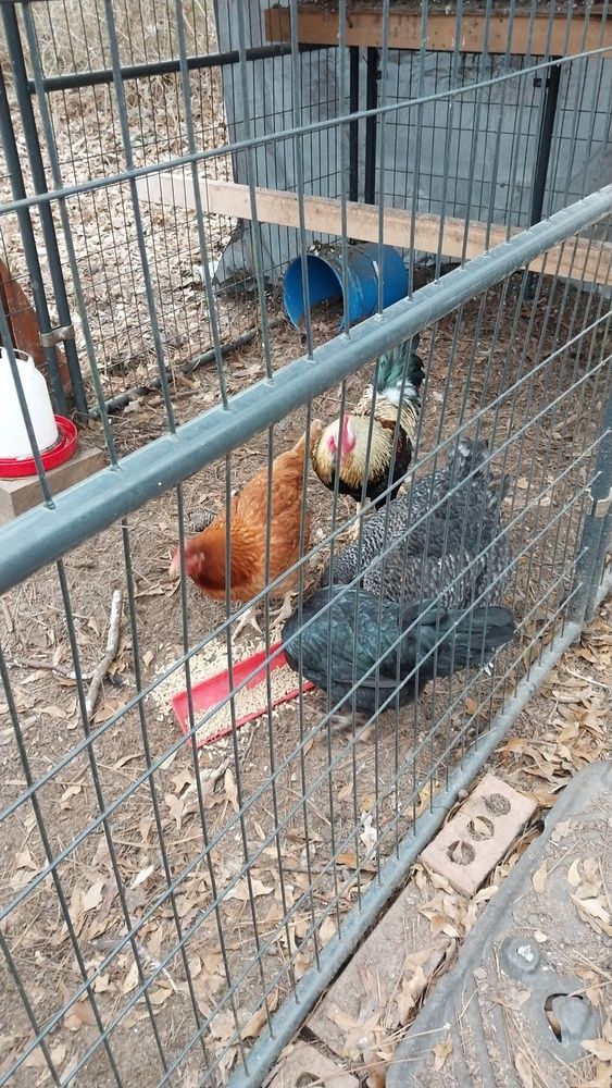 Photograph by Amy nicole allbritten