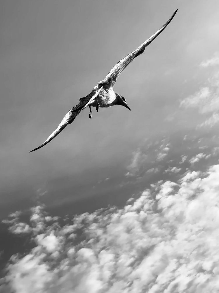 Photograph by наталья ионова