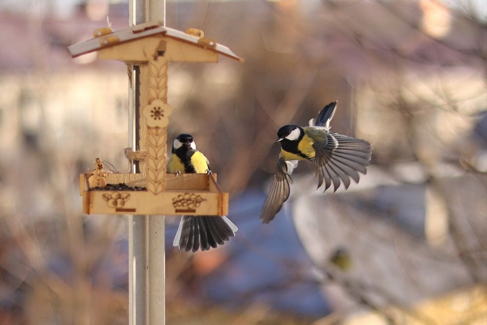 Photograph by Татьяна Бравая