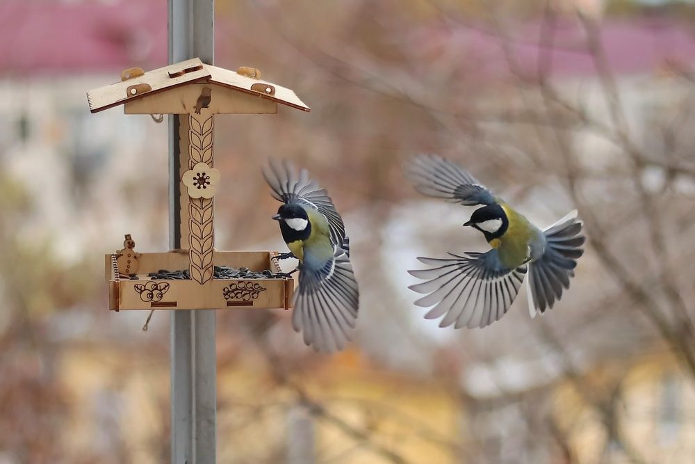 Photograph by Татьяна Бравая