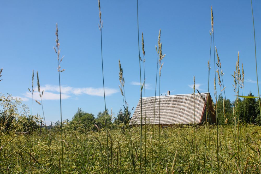 Photograph by Иван Бортяков