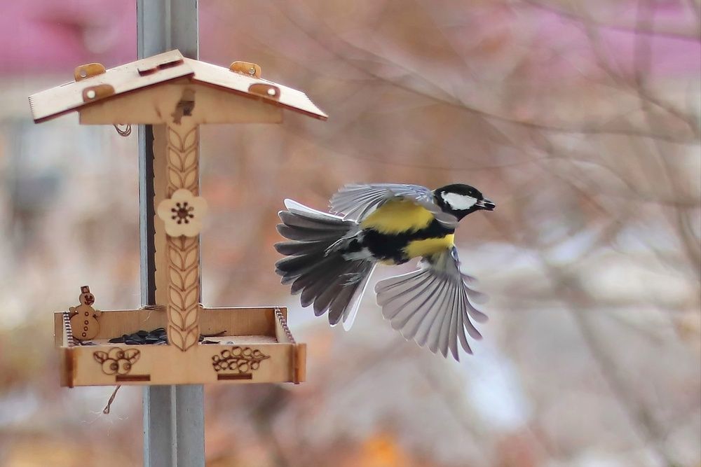 Photograph by Татьяна Бравая