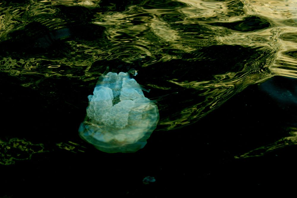 Photograph by Yulia Parfenova