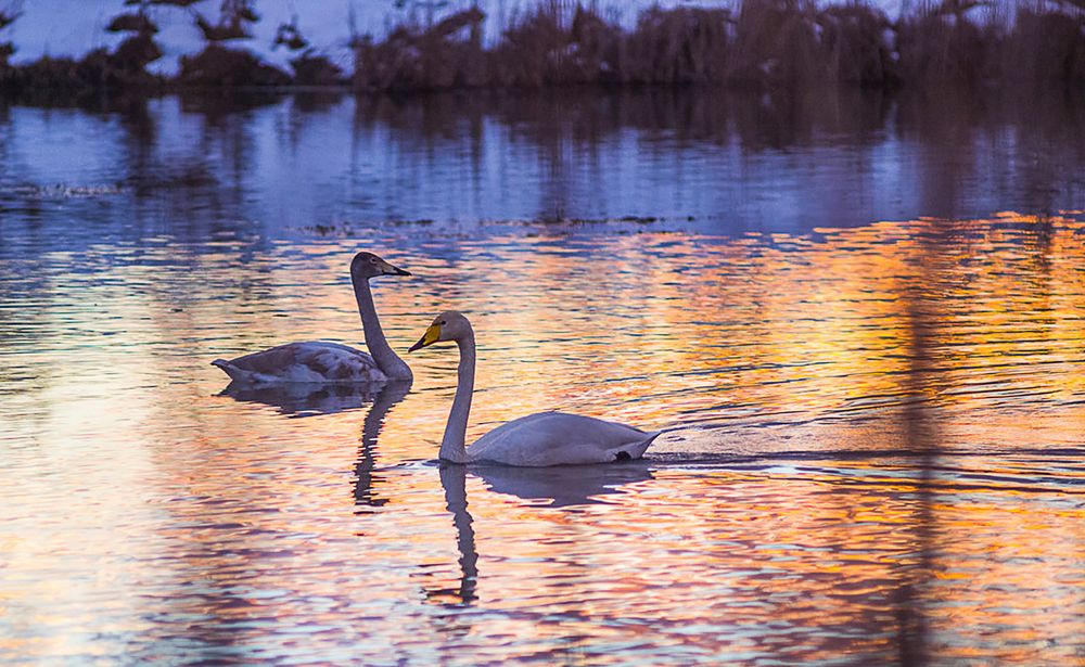 Photograph by Ксения Смирнова