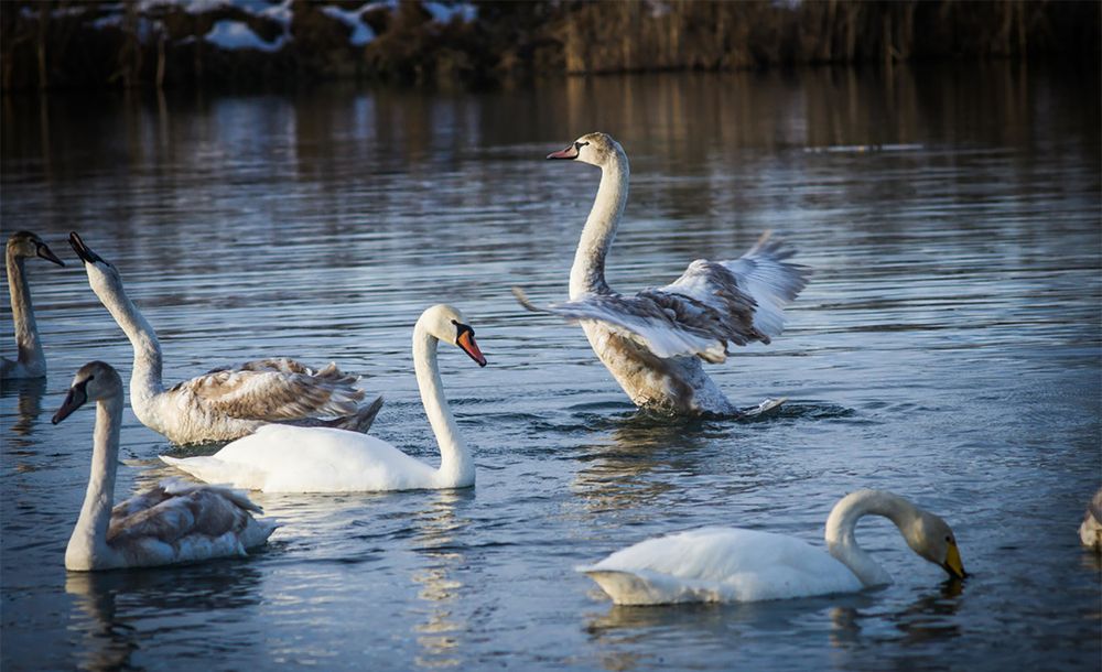 Photograph by Ксения Смирнова