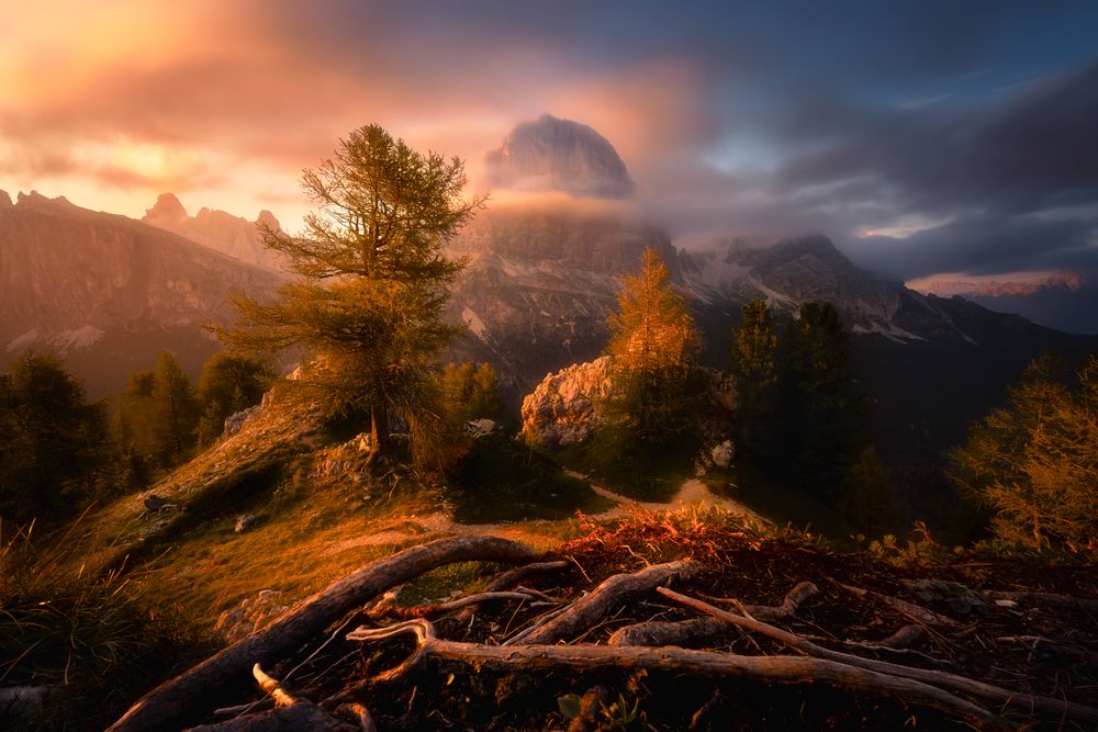 Фотография автора Martin Morávek