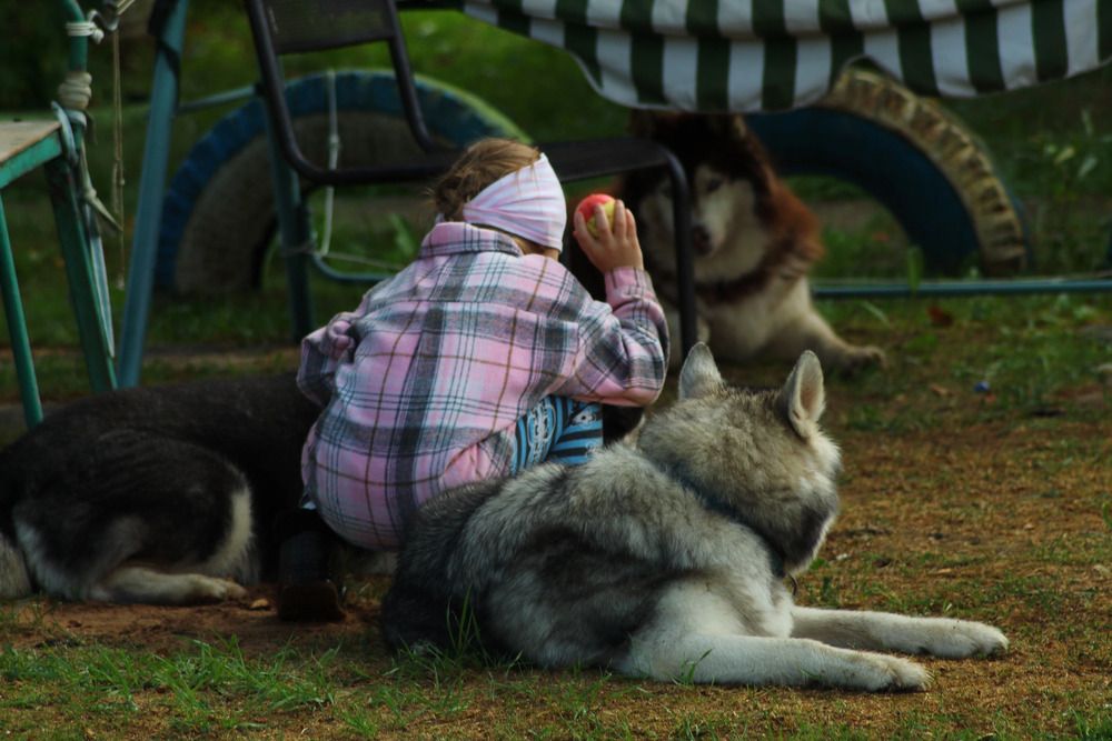 Photograph by Елена Наленч