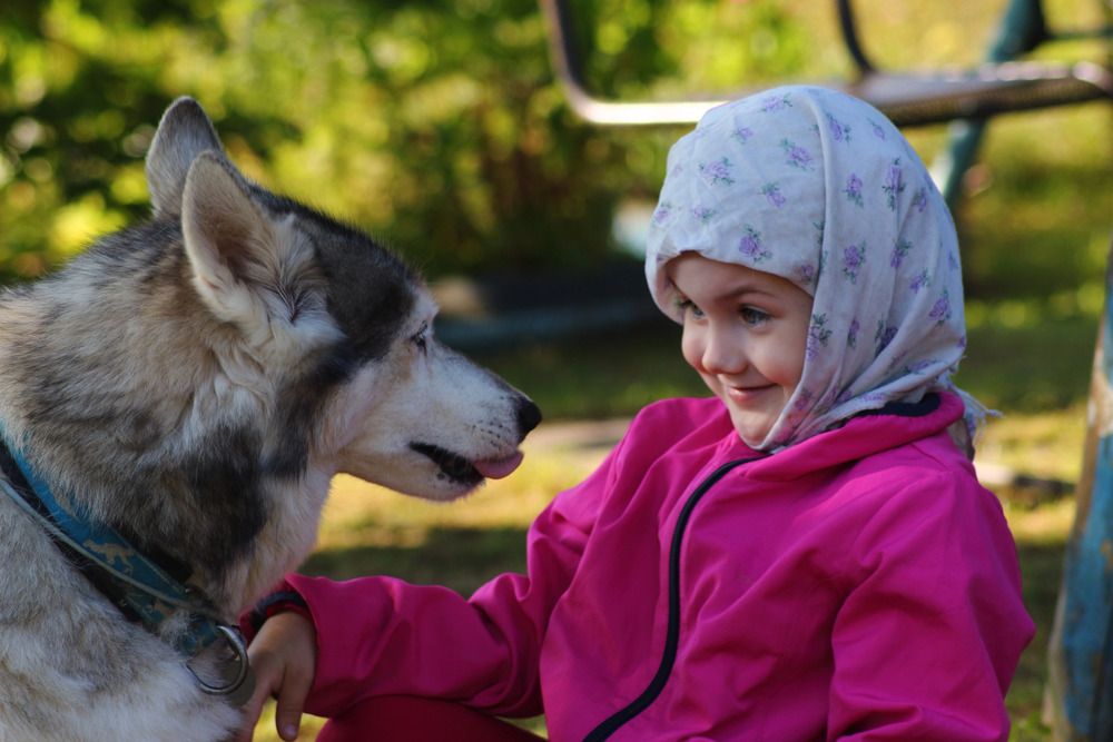 Photograph by Елена Наленч