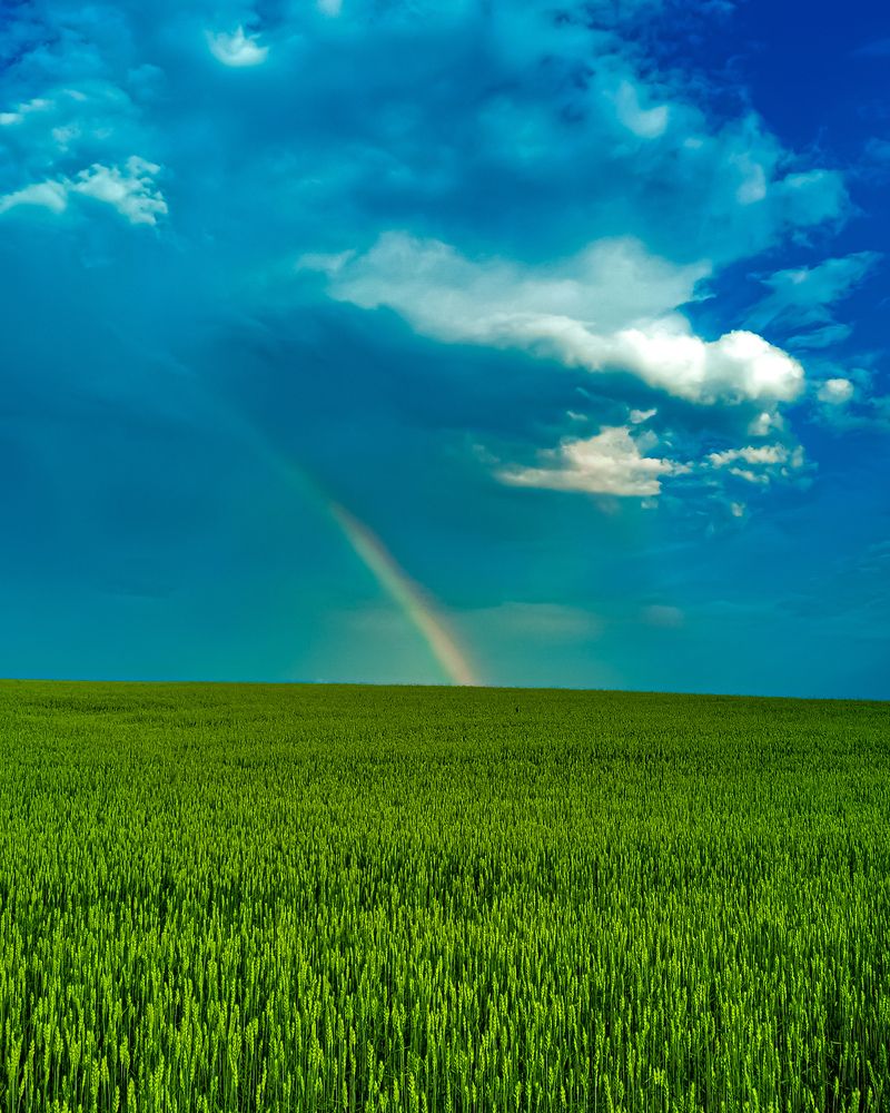 Фотография автора Наталья Асоскова