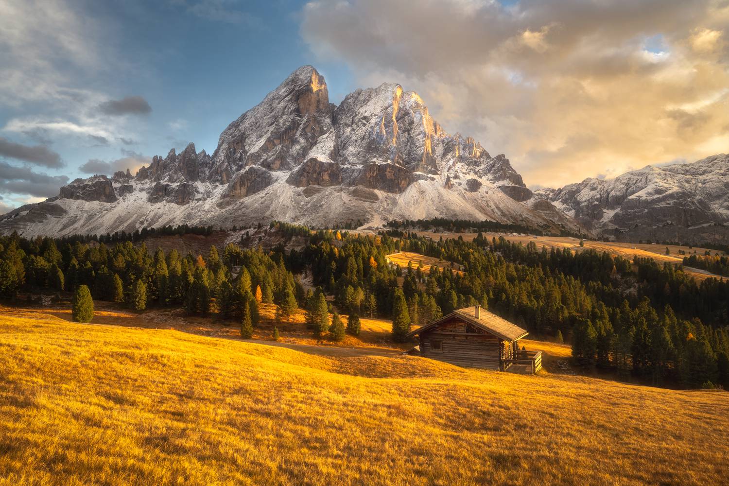 Фотография #13173316