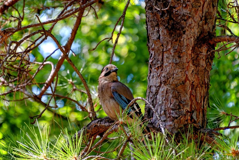 Photograph by Михаил Косолапов