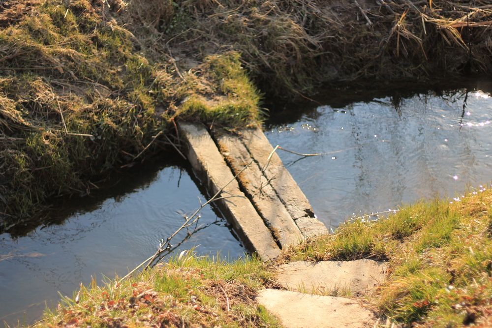 Фотография автора Кристина Альшанская