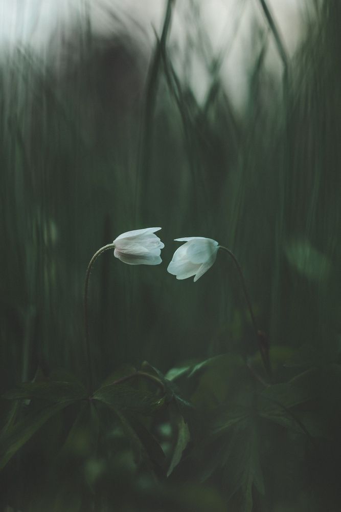 Photograph by Вячеслав Коканов