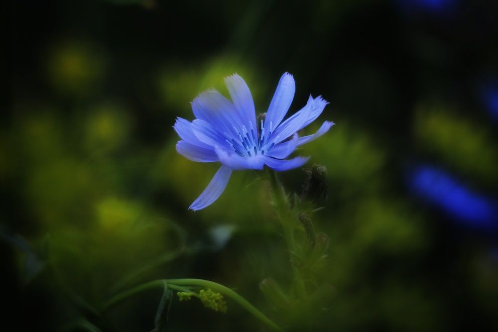 Photograph by Инна Карасева