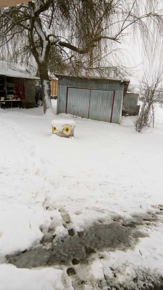 ...they and winter...!!!