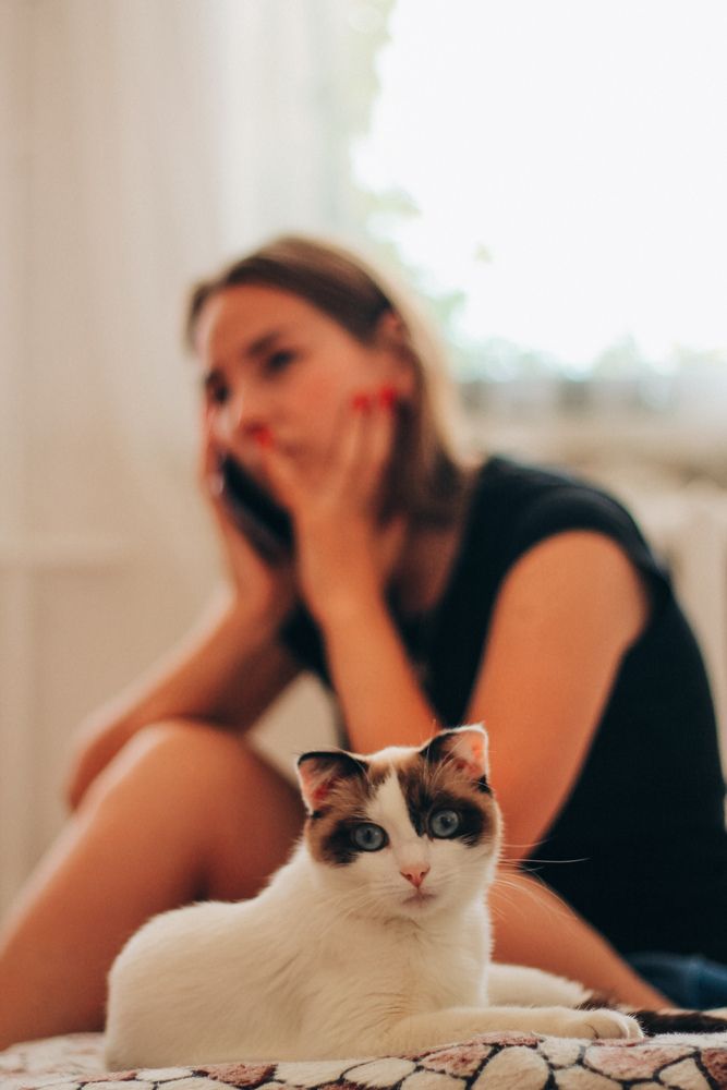 Фотография автора Кристина Альшанская