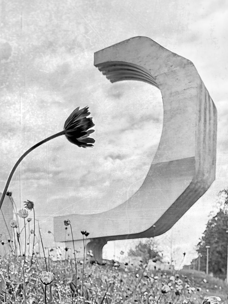 Фотография автора Slutskiy Nikolay