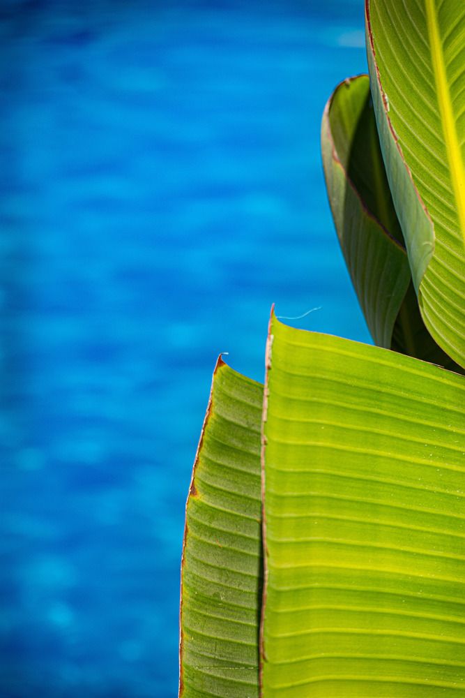 Photograph by Nada Khalifa