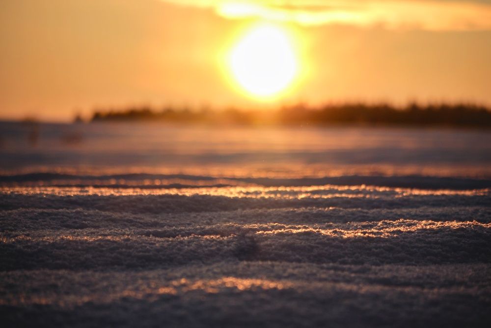 Photo #13173559