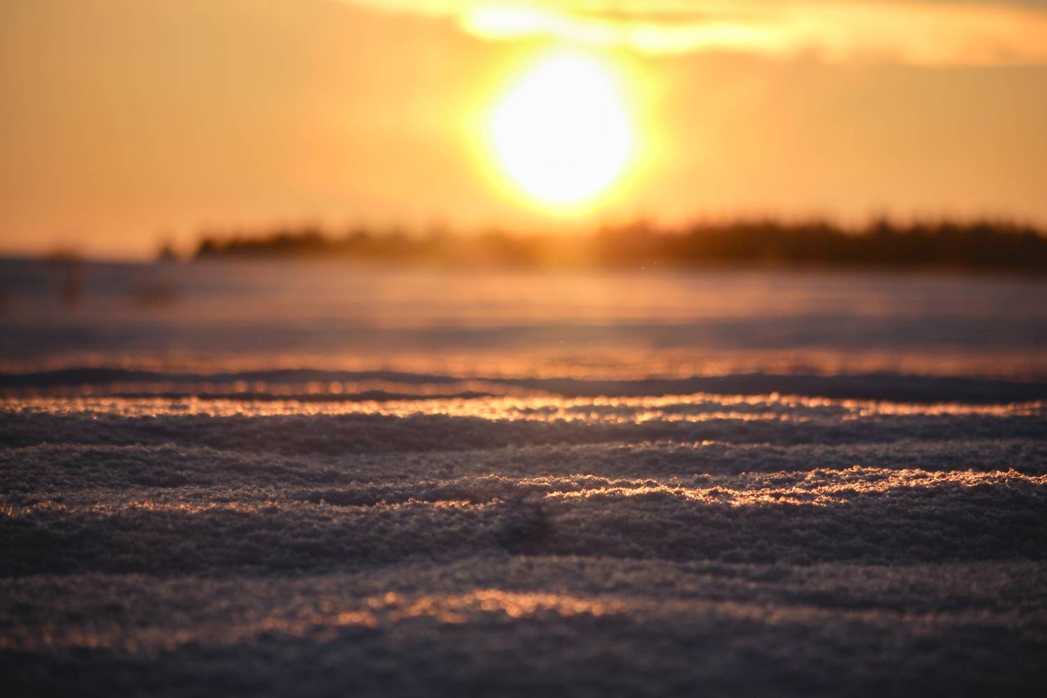 Photo #13173559