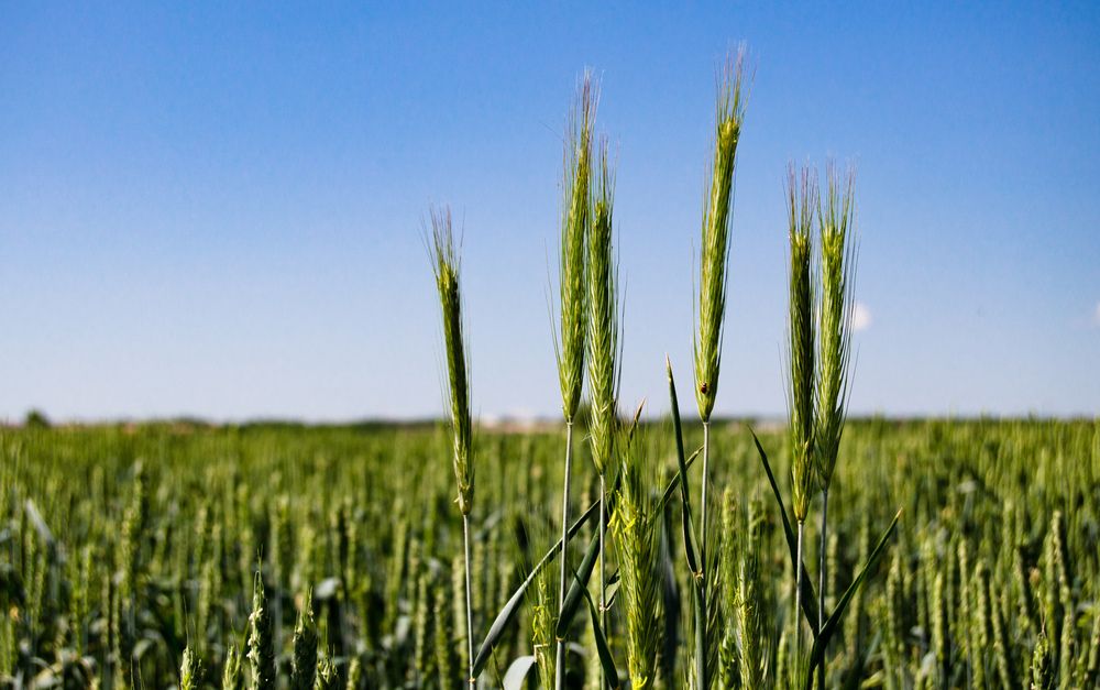 Photograph by Сергей Горбунов