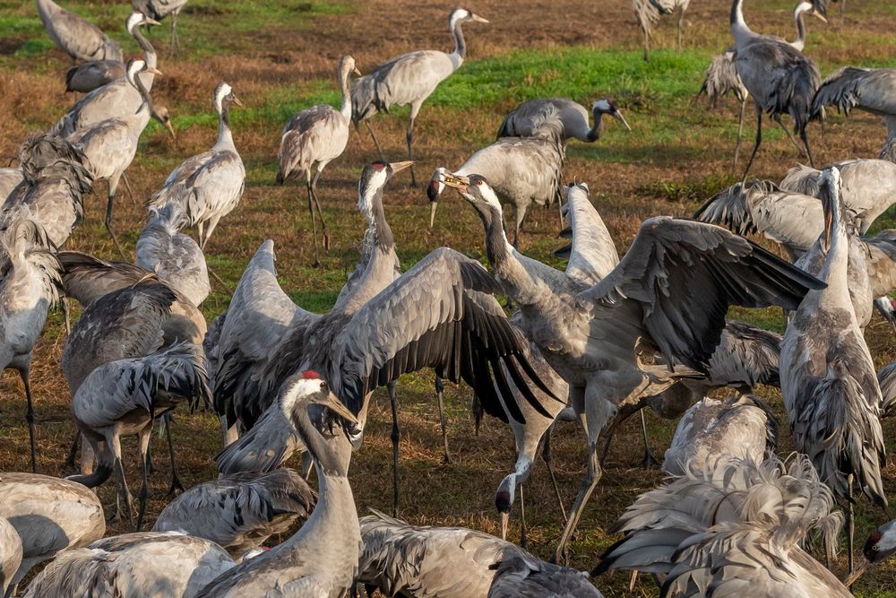 Photograph by Gitin Leonid