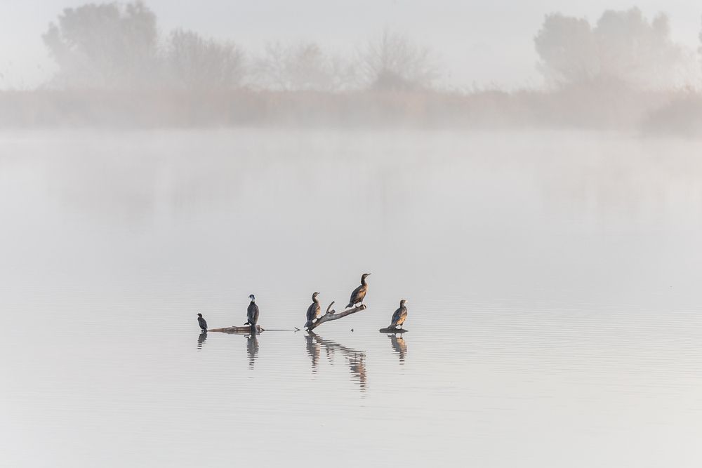 Photograph by Gitin Leonid