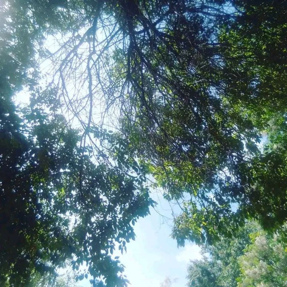 Photograph by Carlos Enrique Gozalo Ara