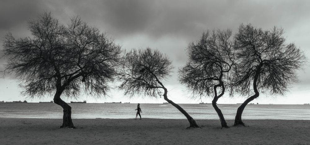 Photograph by Bekir istemi