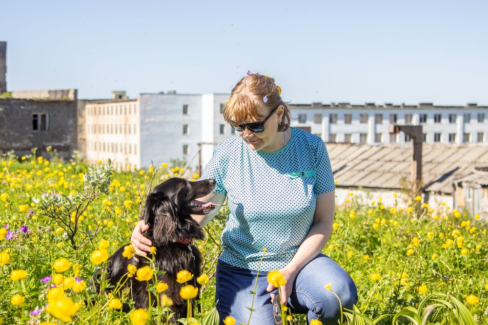 Photograph by Алина Быстрова