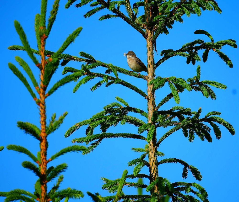 Photograph by Михаил Трусов