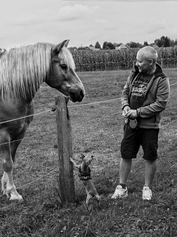 Фотография автора Marina Avdeeva