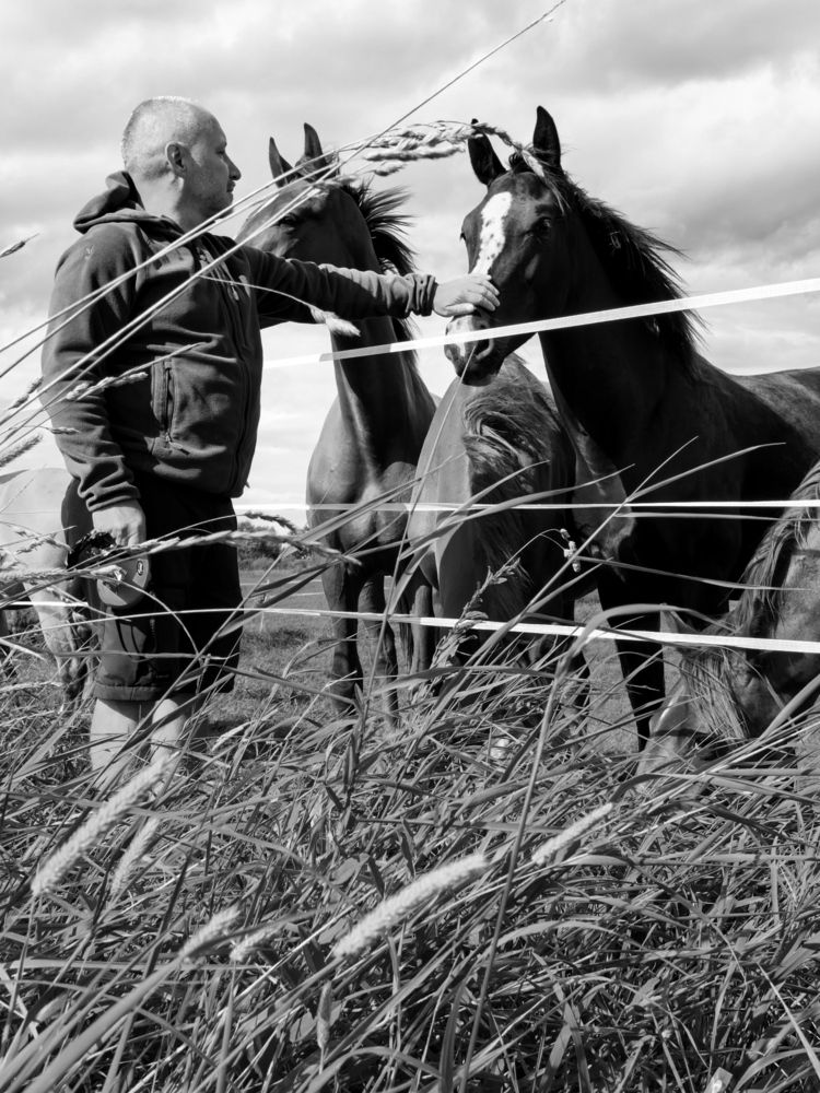 Фотография автора Marina Avdeeva