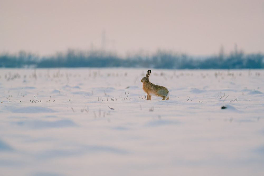 Photograph by Stanislav Volkov