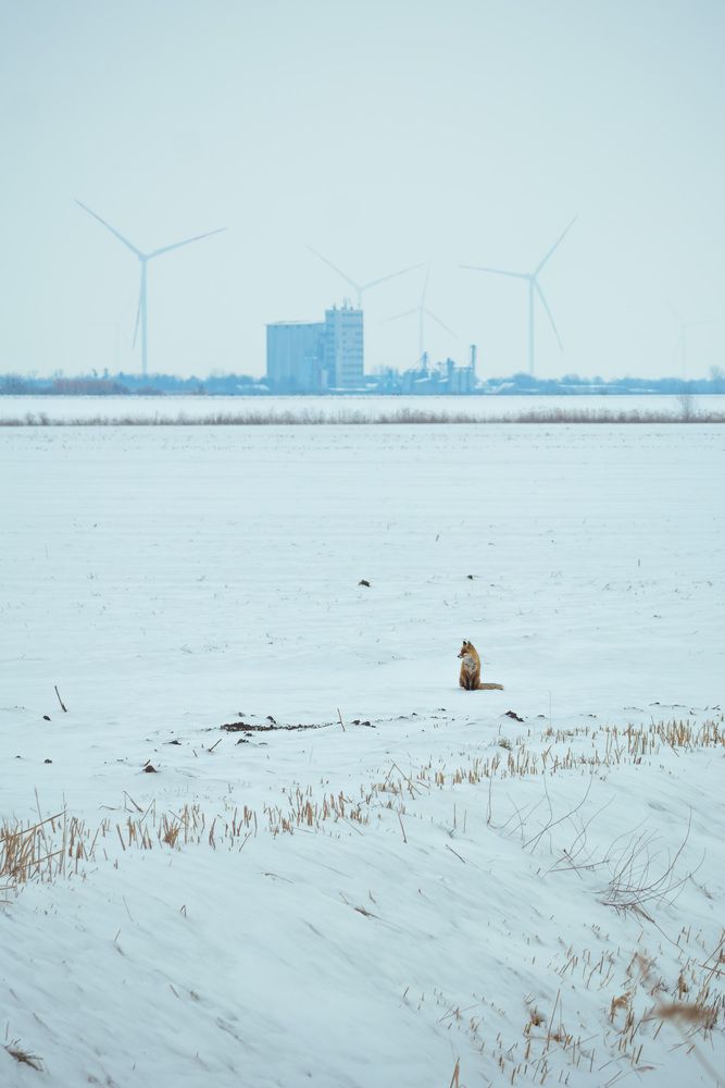 Photograph by Stanislav Volkov