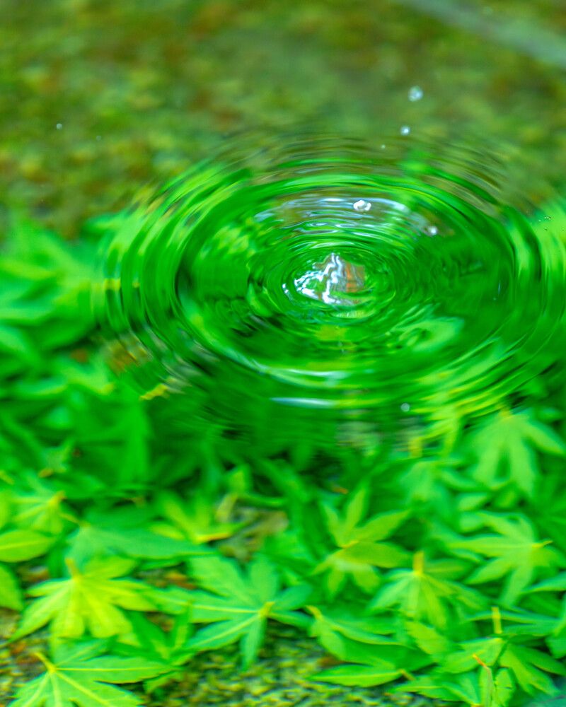 Photograph by Tatsuya Nieda