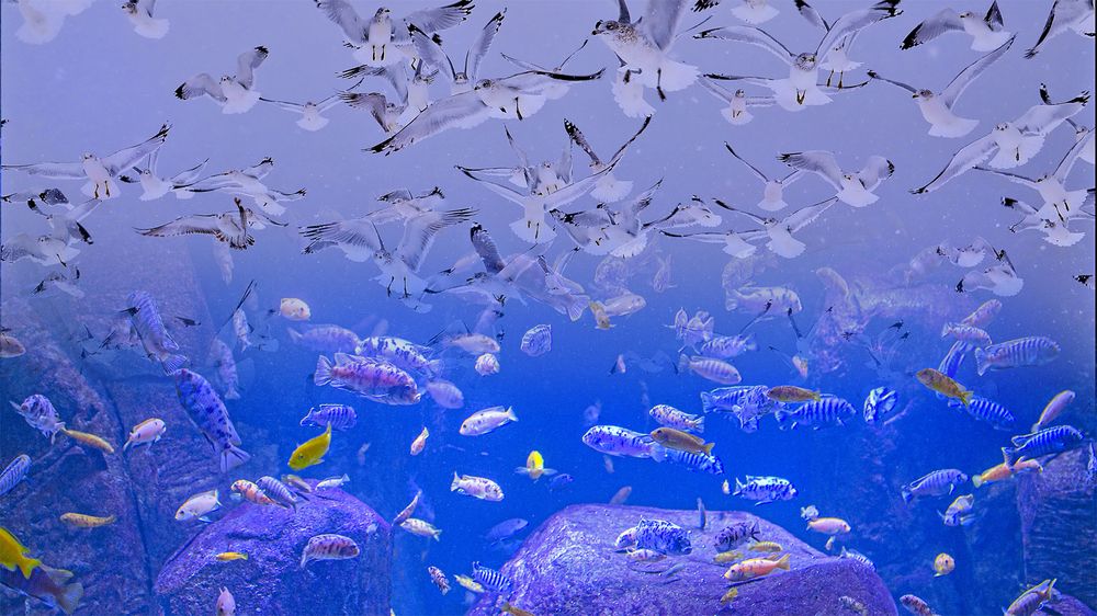 Photograph by Гришанов Пётр