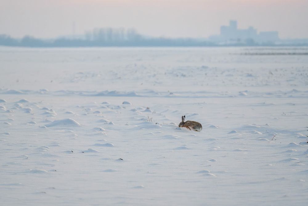 Photograph by Stanislav Volkov