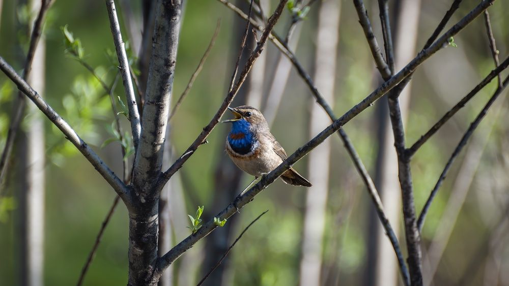 Photograph by Вадим Басов