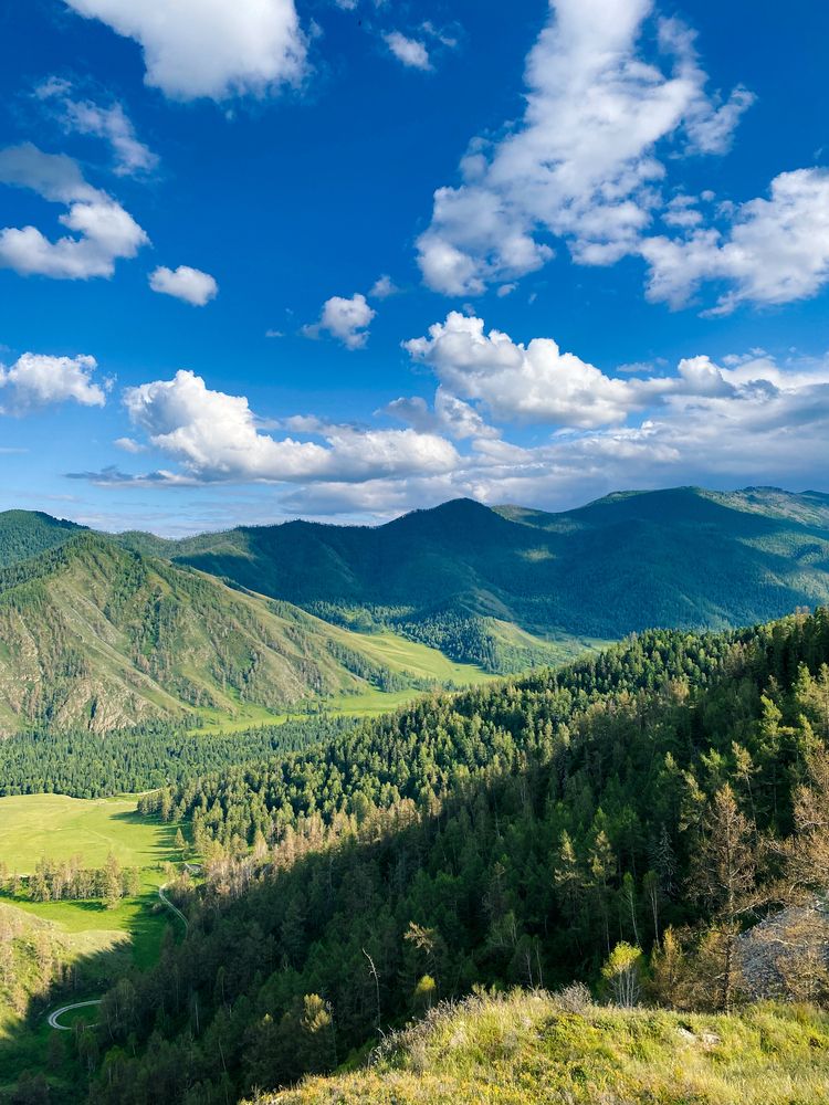 Фотография автора Дарья Андреева