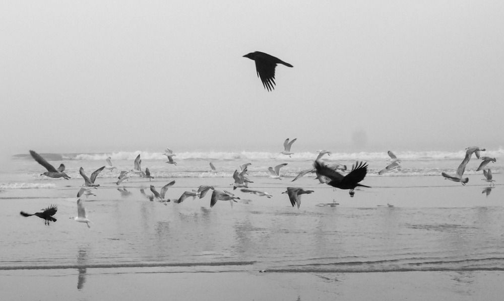 Photograph by Sona Sahakian