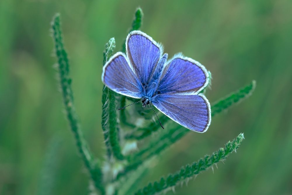 Photograph by Kveta Novotna