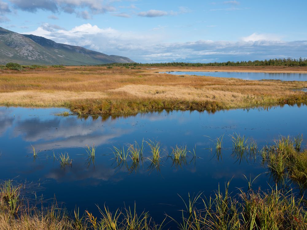 Photograph by Хазан Сергей