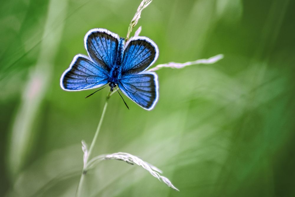 Photograph by Kveta Novotna