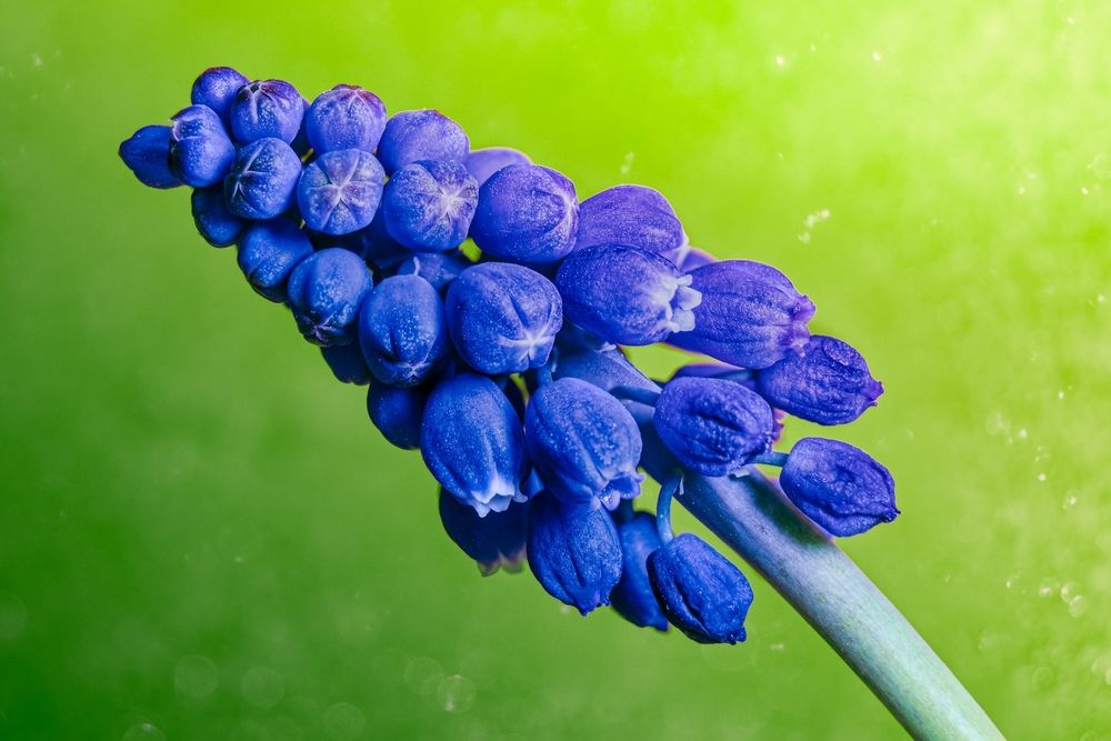 Photograph by Kveta Novotna