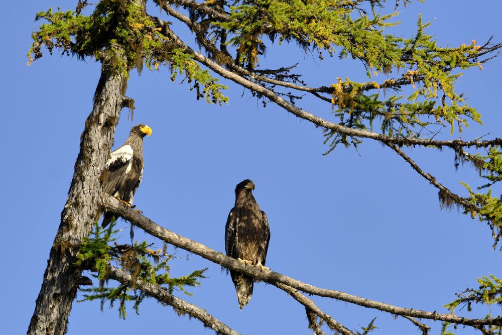 Photograph by Хазан Сергей