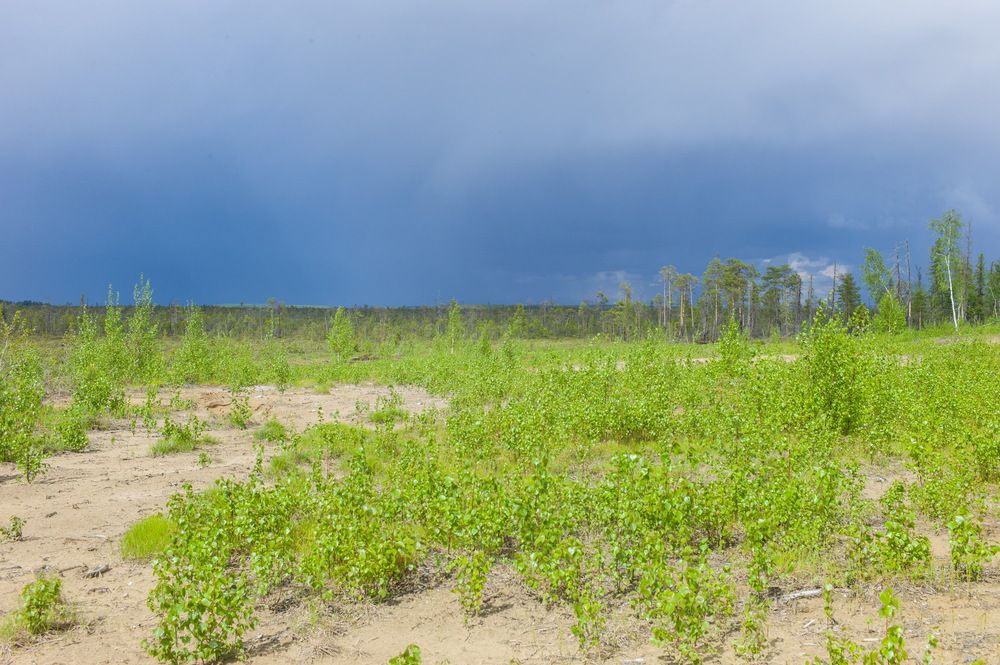 Photograph by Михаил Дронов